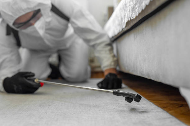 Professional Ant Control technician working in Monticello, GA