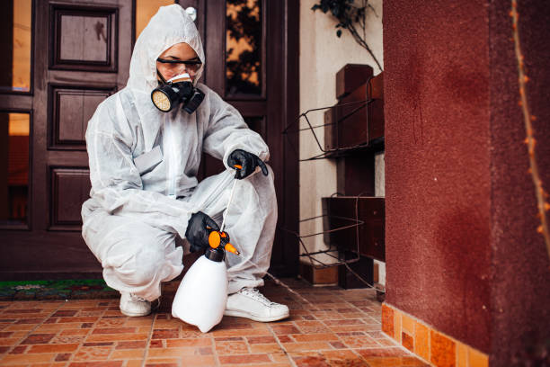 Reliable Ant Control contractor in Monticello, GA by Nex Pest Control