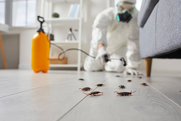 Trusted Rodent Control service in Monticello, GA - Nex Pest Control