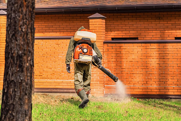 Trusted Ant Control service in Monticello, GA - Nex Pest Control